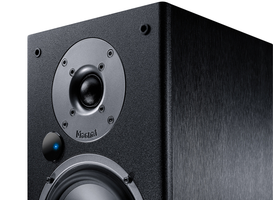 Magnat Monitor Reference 2A - cecha 1